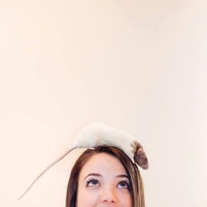 Meet your Posher, Billiejane